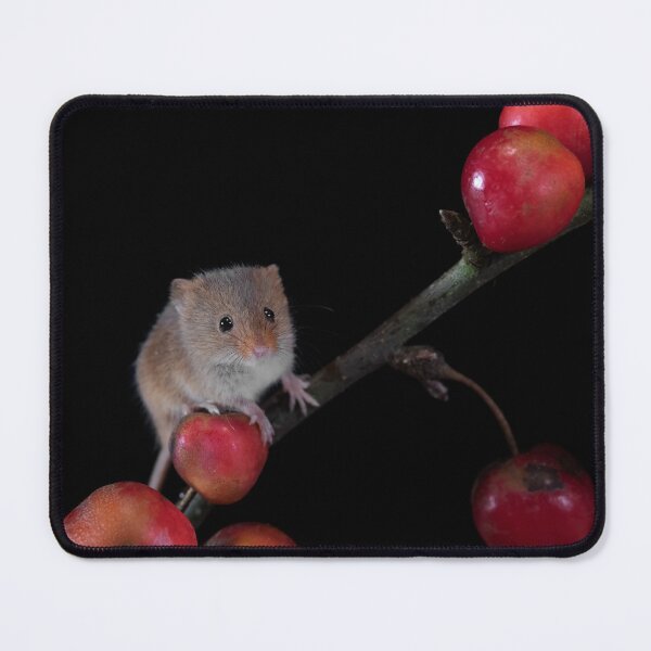 Item preview, Harvest Mouse on a Crab Apple branch designed and sold by RedGrouse.