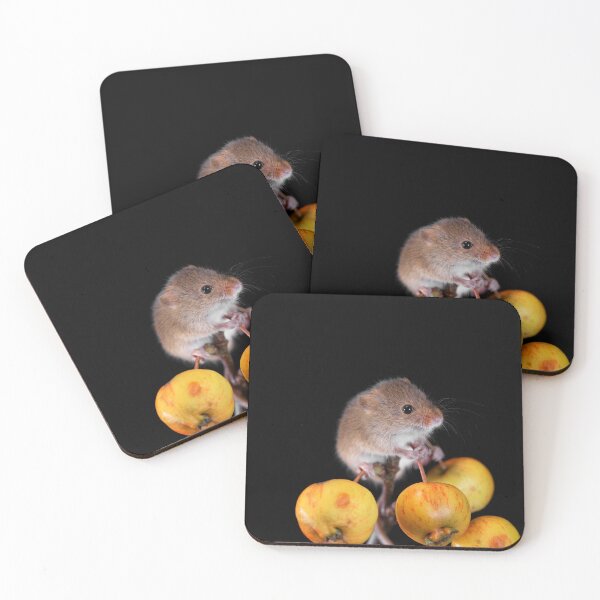 Item preview, Harvest Mouse on a Crab Apple branch designed and sold by RedGrouse.