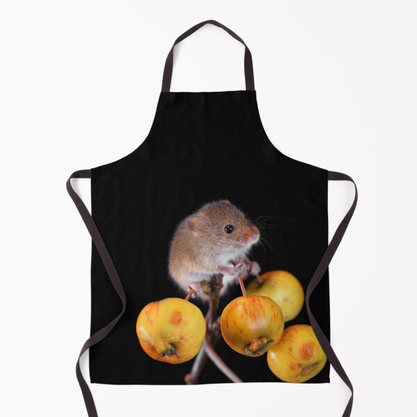 Item preview, Harvest Mouse on a Crab Apple branch designed and sold by RedGrouse.