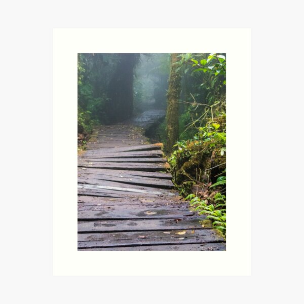 Broken wooden boardwalk in the rainforest jungle, Monteverde, Ecuador Art Print