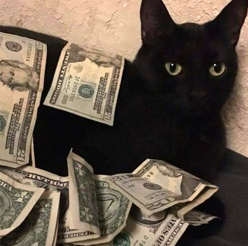 "Money Cat" by alex u | Redbubble