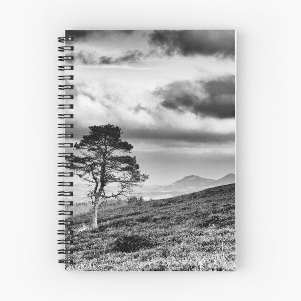 Item preview, Lonesome Pine, Three Brethren, Scottish Borders designed and sold by Iain MacLean.