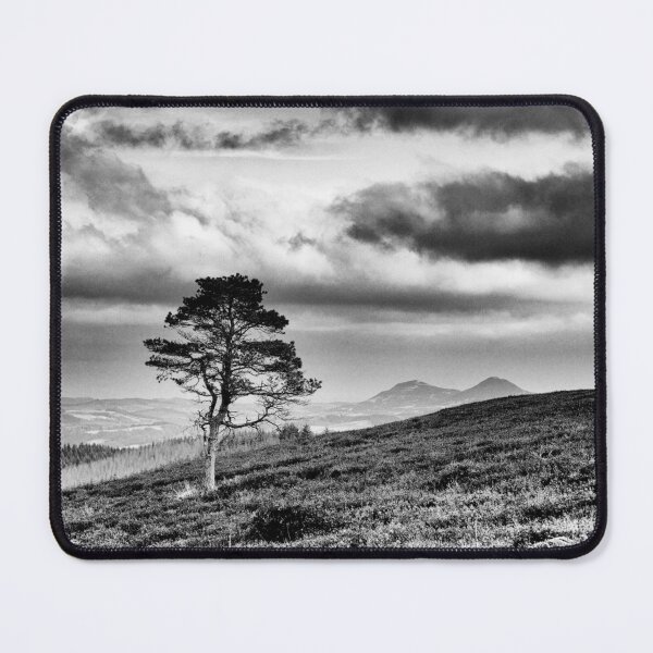 Item preview, Lonesome Pine, Three Brethren, Scottish Borders designed and sold by Iain MacLean.