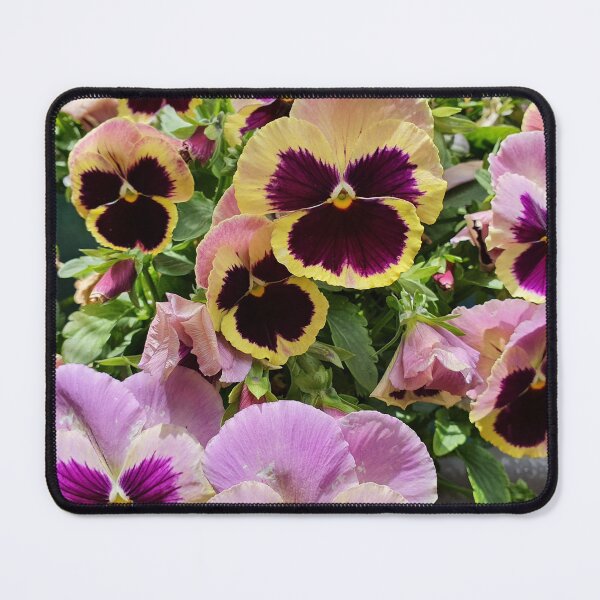 Item preview, Pretty Pansies designed and sold by Claire L Page Photography.