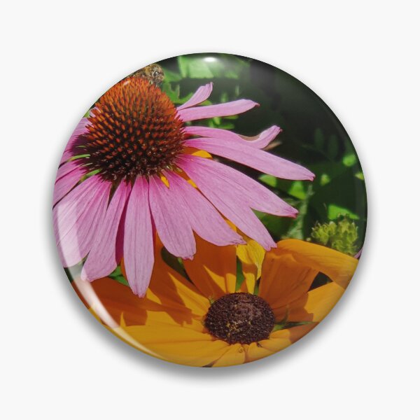 Item preview, Echineacea cone flowers designed and sold by Claire L Page Photography.