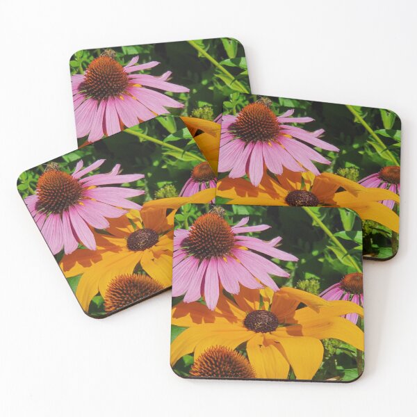 Item preview, Echineacea cone flowers designed and sold by Claire L Page Photography.