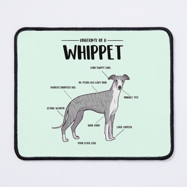 Item preview, Anatomy of a Whippet designed and sold by Iluvmygreyhound.