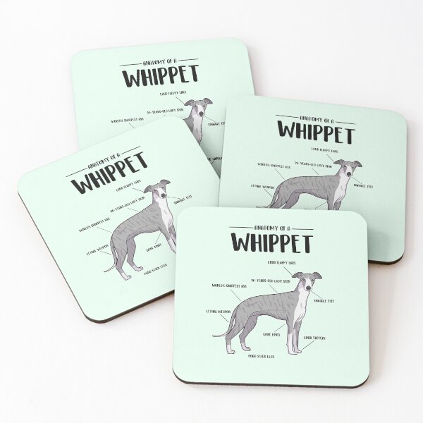 Item preview, Anatomy of a Whippet designed and sold by Iluvmygreyhound.