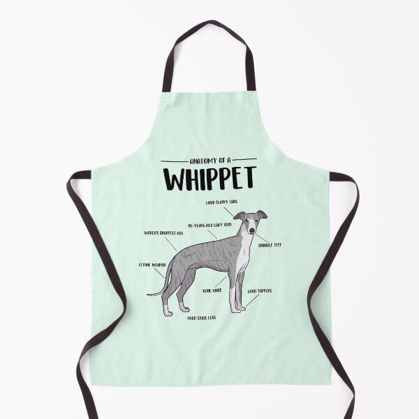 Artikelvorschau, Anatomie eines Whippets entworfen und verkauft von Iluvmygreyhound.