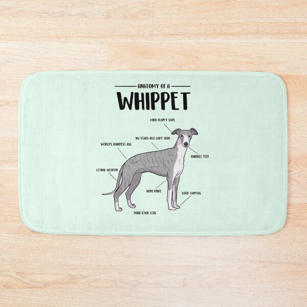 Artikelvorschau, Anatomie eines Whippets entworfen und verkauft von Iluvmygreyhound.