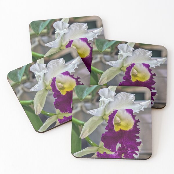 Item preview, Blc. Memoria Anna Balmores Carnula designed and sold by alanathrower.