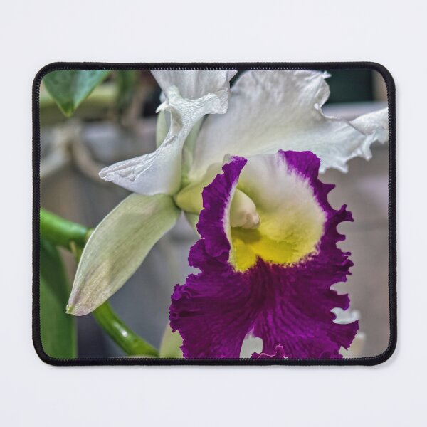 Item preview, Blc. Memoria Anna Balmores Carnula designed and sold by alanathrower.