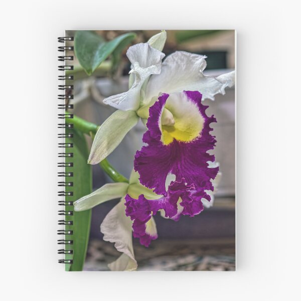Item preview, Blc. Memoria Anna Balmores Carnula designed and sold by alanathrower.