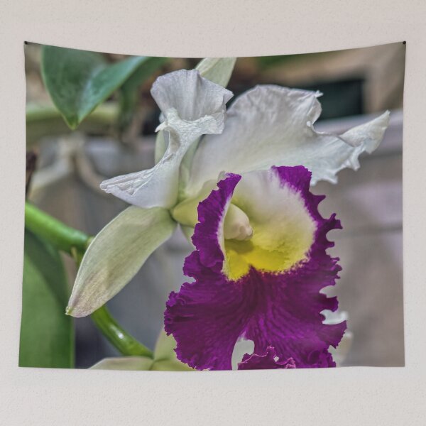 Item preview, Blc. Memoria Anna Balmores Carnula designed and sold by alanathrower.
