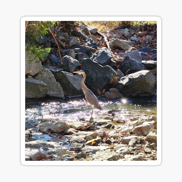 Item preview, Heron on the water designed and sold by ArztNacht.