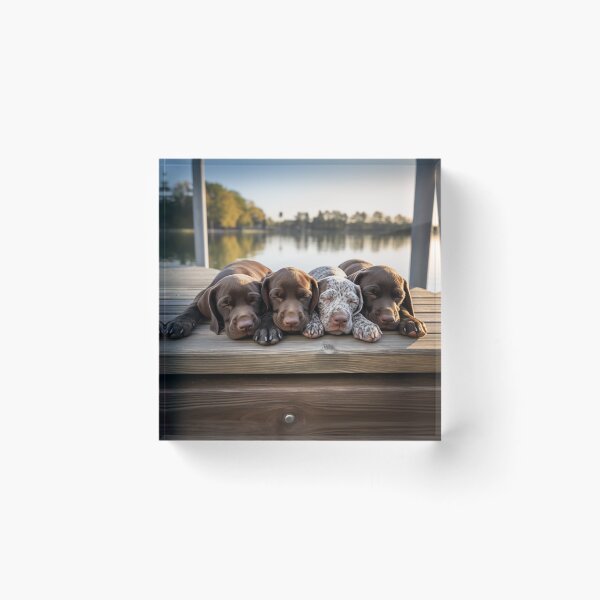 Item preview, German Shorthair Pointer Puppies Sleeping designed and sold by Samuelsboro.