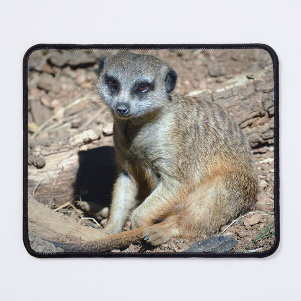 Item preview, Meerkat designed and sold by Savannah Gibbs.