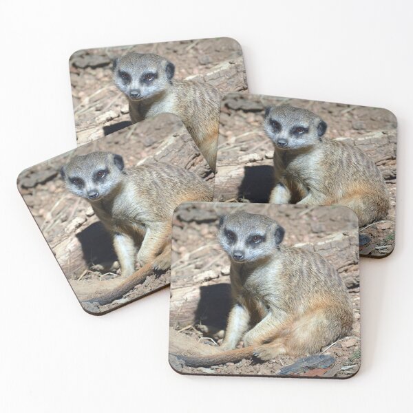 Item preview, Meerkat designed and sold by Savannah Gibbs.