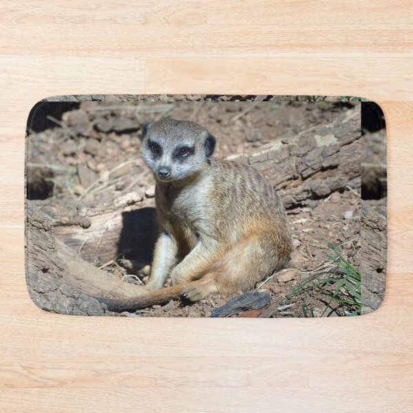 Item preview, Meerkat designed and sold by Savannah Gibbs.