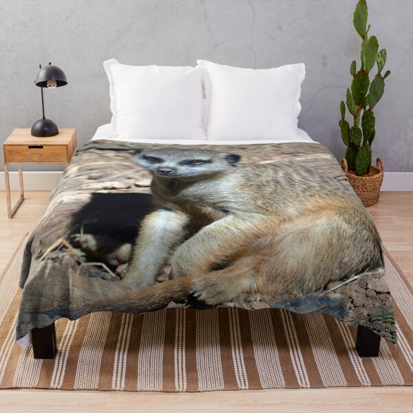 Item preview, Meerkat designed and sold by Savannah Gibbs.
