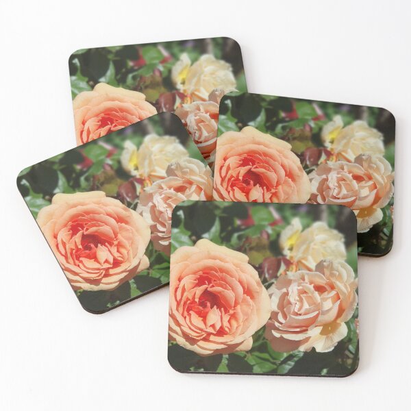 Item preview, Peach Coloured Roses designed and sold by Claire L Page Photography.