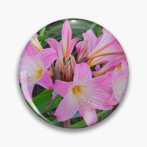 Item preview, Belladonna Lily designed and sold by Claire L Page Photography.