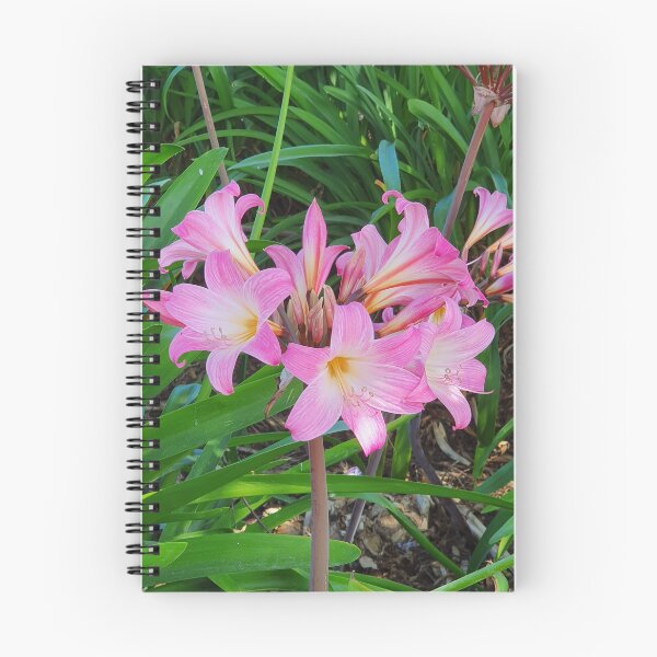 Item preview, Belladonna Lily designed and sold by Claire L Page Photography.