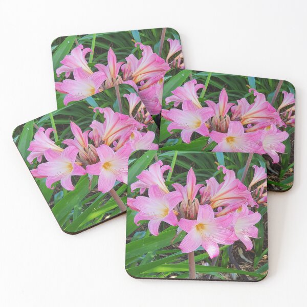 Item preview, Belladonna Lily designed and sold by Claire L Page Photography.
