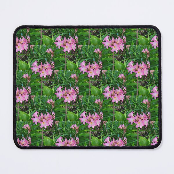 Item preview, Belladonna Lily designed and sold by Claire L Page Photography.