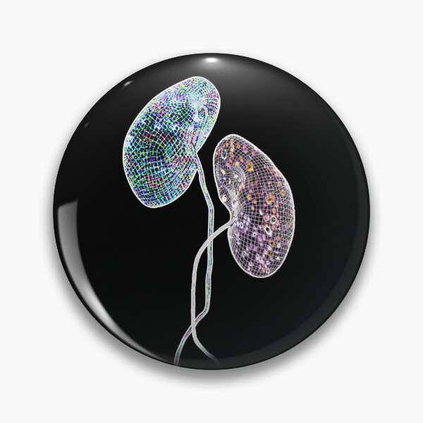 Item preview, Kidneys: Human reference atlas collection designed and sold by Hschle.