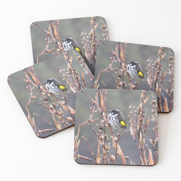 Item preview, honey eater designed and sold by Bob-tography.