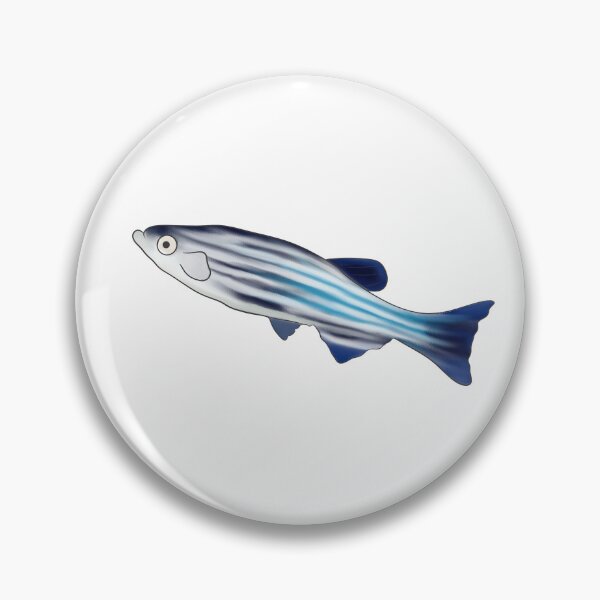 Item preview, Zebra fish designed and sold by LisaTrincaArt.