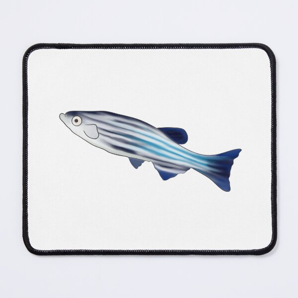 Item preview, Zebra fish designed and sold by LisaTrincaArt.
