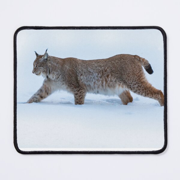Item preview, Lynx in deep snow designed and sold by Ingo Gerlach.