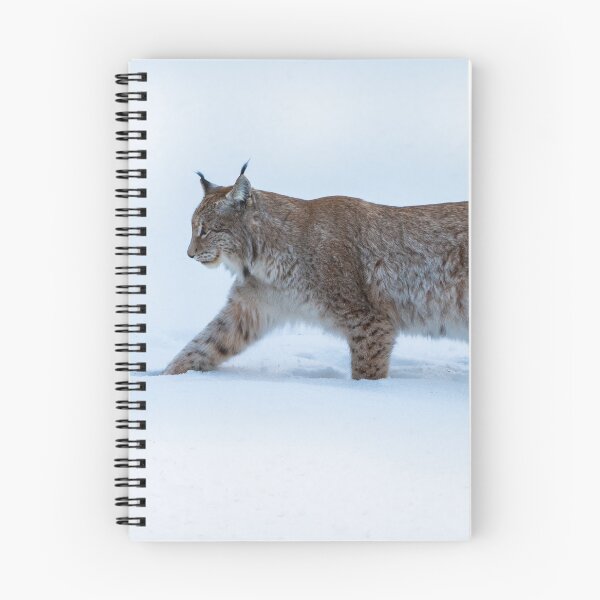 Item preview, Lynx in deep snow designed and sold by Ingo Gerlach.