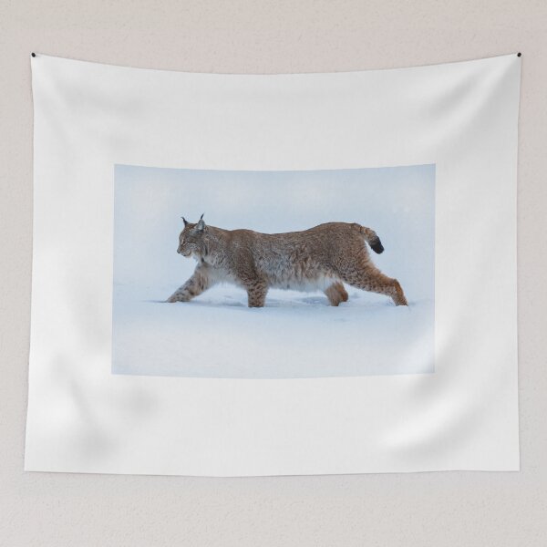 Item preview, Lynx in deep snow designed and sold by Ingo Gerlach.