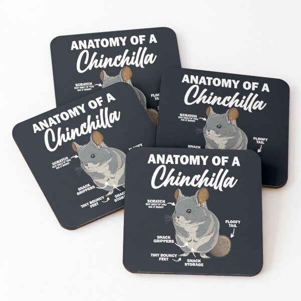 Item preview, Chinchillas Anatomy 1 designed and sold by CoussaZau.