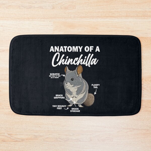 Item preview, Chinchillas Anatomy 1 designed and sold by CoussaZau.
