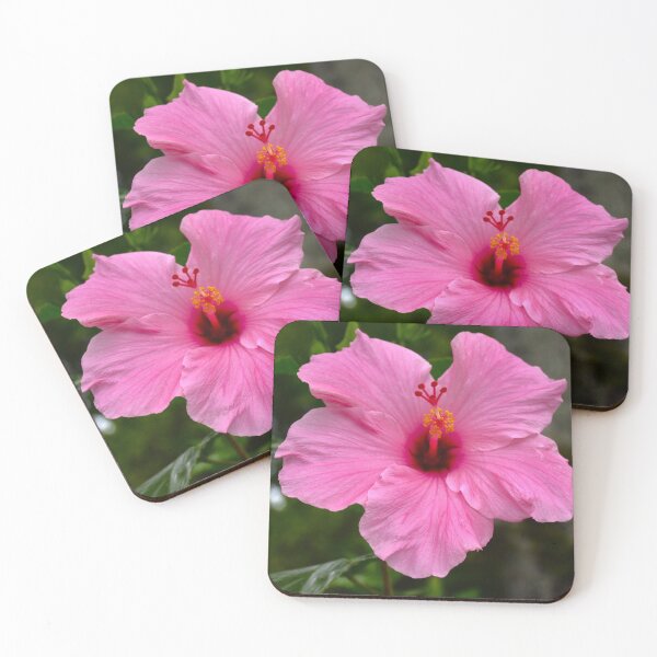 Item preview, Pink Hibiscus Bloom designed and sold by MercerImages.