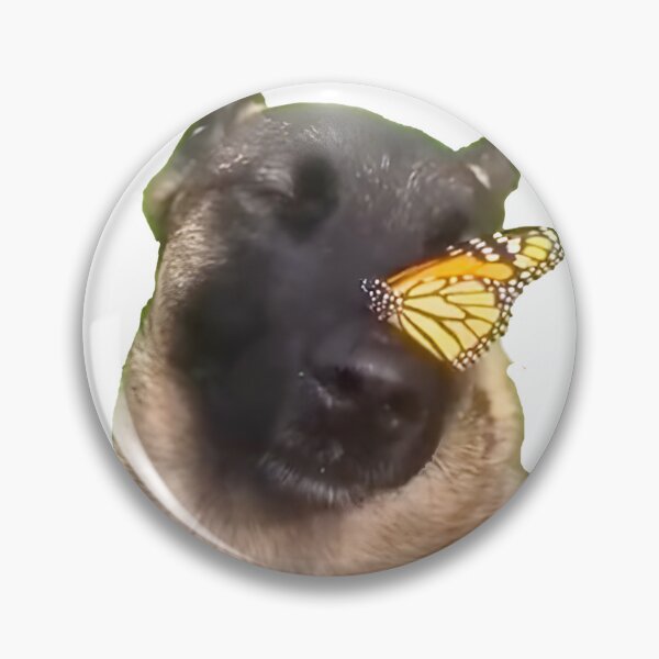Item preview, I Have No Enemies | Butterfly & Dog | TikTok Meme designed and sold by Artlix Shop.