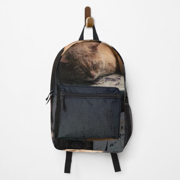 Item preview, Street Siesta: Cat's Midday Nap designed and sold by infinara.