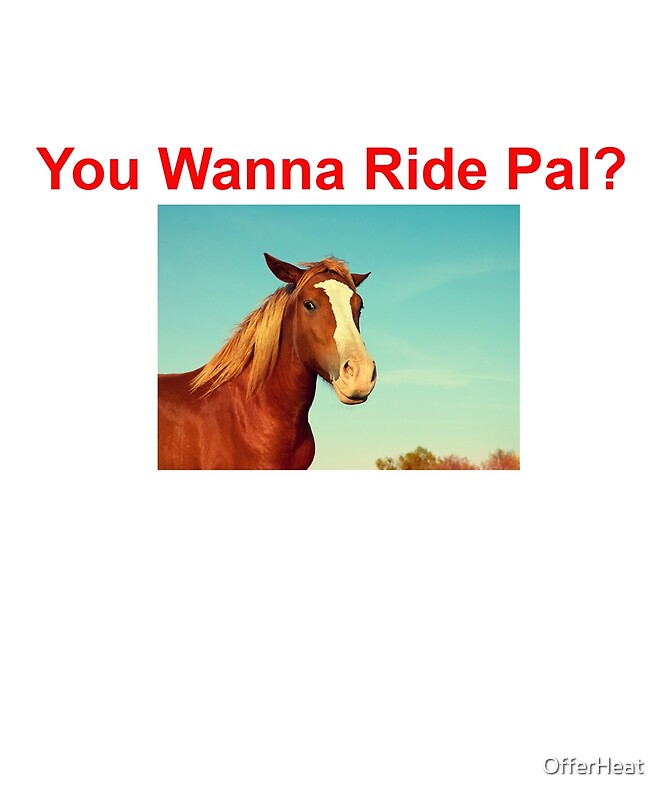 "You Want a Ride Pal Horse" by OfferHeat Redbubble