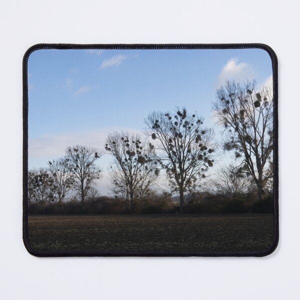 Item preview, Poplars designed and sold by Calidris Fotografie Steffi & Ben Köppler.