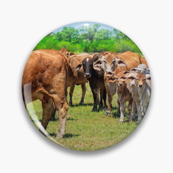 Item preview, Herd of cows. designed and sold by noblephoto.
