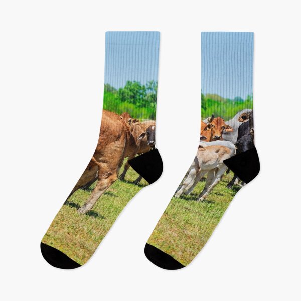 Item preview, Herd of cows. designed and sold by noblephoto.
