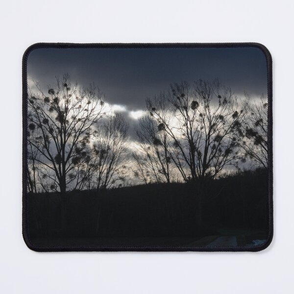 Item preview, Mistletoe designed and sold by Calidris Fotografie Steffi & Ben Köppler.