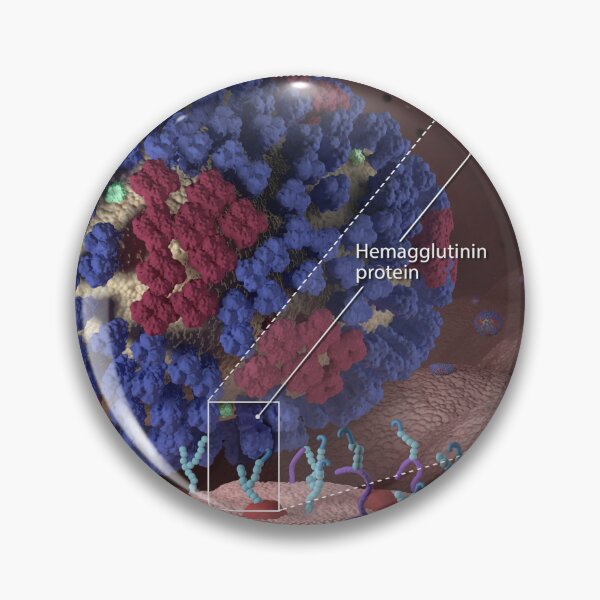 Item preview, STK701452H-Beginning stages of an influenza (flu) infection designed and sold by StocktrekImages.