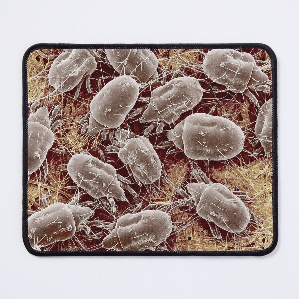 Item preview, STK701453H-100x magnified SEM of Tyrophagus putrescentiae. designed and sold by StocktrekImages.