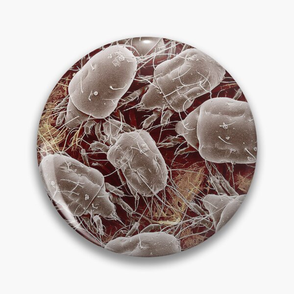Item preview, STK701453H-100x magnified SEM of Tyrophagus putrescentiae. designed and sold by StocktrekImages.