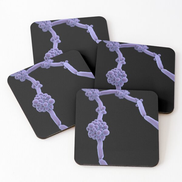 Item preview, STK701454H-3D illustration of Candida. designed and sold by StocktrekImages.